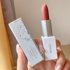 4 Colors Misty Matte Lipstick Waterproof Long Lasting Moisturizing Lipstick Professional Makeup for Women Matt Lipstick Lip Tint