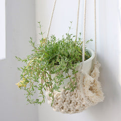 Macrame Hammock Plant Holder Macrame Plant Hanger Boho Home Decor Garden Pots Planters Flower Pot Outdoor Hanging Planters Gift