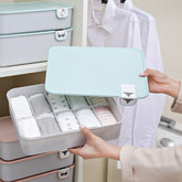 Boxi Home Underwear Storage Box Organizer Plastic Dust-Proof Storage Boxes For Ties Sock Bra Jewelry Sundries Organizers Boxes