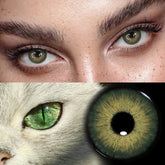 YICKYUE Natural Green Cat Eyes Colored Contact Lenses 1Pair Beauty Blue Lens Half Yearly Grey Pupils Brown Contacts New