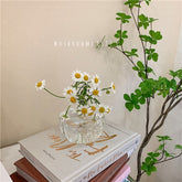 Japanese KAWAII Creative Simple Small Pomegranate Glass Vase Desktop Hydroponic Cute Water Flower Garden Decoration