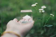 * Mushrooms 9527 *Korean Niche 3D Simulation Cloud Cube Crystal Cube Home Decoration Ornaments New Year's Holiday Gift