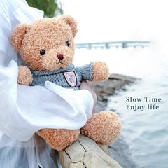 Cute Plush Bear Doll with Sweater Removable Birthday Gift for Kids Children Toy Bedroom Living Room Decoration New Year Gift