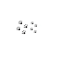 Cute Cat Paw Temporary Tatoo Finger Wrist Decal Kid Women Men Body Art Fake Tattoo Stickers Tatoos Black Cartoon