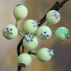 100cm 6pcs Artificial Plastic Green Plant Dusted Berries Faux Plant Flower Branch Nagae Small Fruit For Office Hotel Decoration