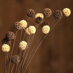 5PCS Natural Dried Flowers Real Passepartout Maple Fruit Dried 55cm Branch Plants DIY Wedding Flower Arrangement Home Decoration