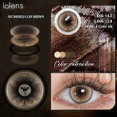 YICKYUE - 2Pcs Korean Style Soft Colored Contact Lenses, 6-Month Disposable, Natural Blend Finish, for Daily Beauty Makeup