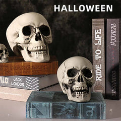 YICKYUE - Halloween Party Plastic Scary Head Horror Set DIY Creepy Baby Head Horror Haunted House Doll Halloween Creepy Head Props