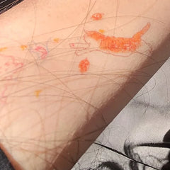YICKYUE - Cartoon Cat Fake Tattoo for Woman Arm Cute Colorful Lines Butterfly Lasting Flower Sticker Anime Tattoo Tatuajes Temporales