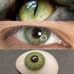 YICKYUE - Graded 2pcs/1pair Green Iris Colored Contact Lenses Coloured Softlens