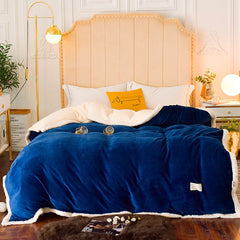 1pc Winter Warm Soft Double Side Plush Duvet Cover Flannel Thick Comforter Quilt Cover Case Bed Blanket Full Queen King Size