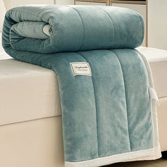 Yickyue Simple Imitation Lamb's Wool Autumn Warm Blankets for Beds Mechanical Wash Adults Children Thicken Blanket Warmth Soft Quilt