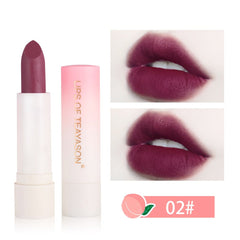 Wholesale Makeup Lip Stick Velvet Matte Lipsticks Waterproof Maquillaje Sexy Nude Color Lipstick Matte Smooth Red Lips Bulk