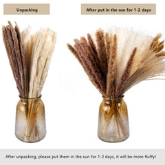 10/15/20/60Pcs Artificial Pampas Grass Plume Decor Fluffy Reed Wedding Flower For Home Kitchen Room Decoration