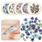 3D Emulational Butterfly Bee Cute Bear Fall Leaf Paillettes Loose Sequins Charm Flower Bow Glitter Confetti Nail Art Decorations
