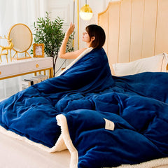 1pc Winter Warm Soft Double Side Plush Duvet Cover Flannel Thick Comforter Quilt Cover Case Bed Blanket Full Queen King Size