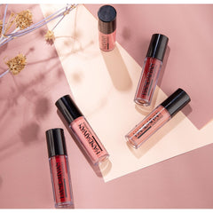 4Pcs Lip Gloss Gift Sets Matte Long Lasting Lip Glaze Moisturizing Waterproof Non-stick Cup Liquid Lipsticks Cosmetics Kit TSLM1