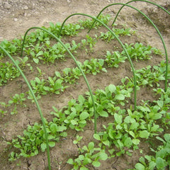 YICKYUE  Greenhouse Hoop Plant Support Stakes Vine Climbing Plastic Coated Steel Pipe Arch Rack Vegetables Growth Garden Accessories