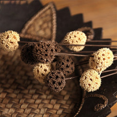 5PCS Natural Dried Flowers Real Passepartout Maple Fruit Dried 55cm Branch Plants DIY Wedding Flower Arrangement Home Decoration