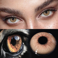 YICKYUE  Natural Green Cat Eyes Colored Contact Lenses 1Pair Beauty Blue Lens Half Yearly Grey Pupils Brown Contacts New