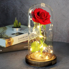 LED Enchanted Galaxy Eternal Rose Flower Beauty And The Beast  Gold Foil Flower Artificial Flowers For  Valentine's Day Gifts