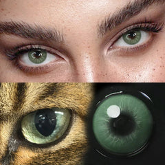 YICKYUE  Natural Green Cat Eyes Colored Contact Lenses 1Pair Beauty Blue Lens Half Yearly Grey Pupils Brown Contacts New