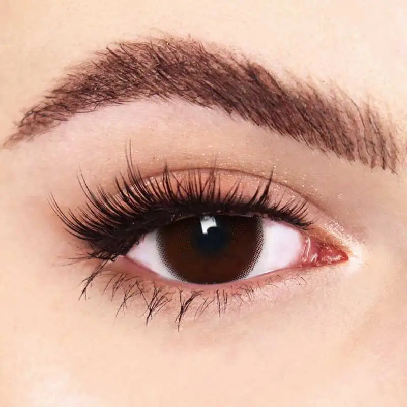 YICKYUE  -  Natural Brown Colored Contact Lenses 14.5mm Big Eyes Glass Pupil Gray Lens Blue Eye Lenses for Daily&Party Makeup