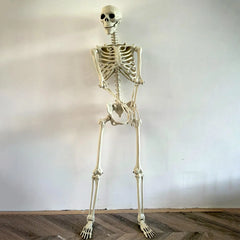 YICKYUE  -  Halloween Outdoor Skeletons Realistic Full-Body Skeleton for Outside Spooky Photo Props Garden Decor Decorative Party Supplies