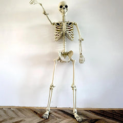 YICKYUE  -  Halloween Outdoor Skeletons Realistic Full-Body Skeleton for Outside Spooky Photo Props Garden Decor Decorative Party Supplies
