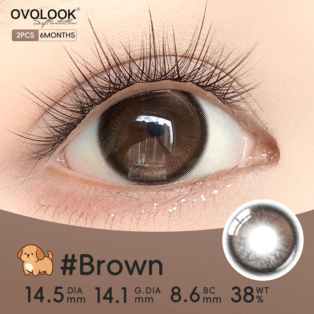 YICKYUE  -  Half Year Disposable Colored Contact Lenses Warm Honey Brown Soft Clear Lens Natural Daily Makeup Eye Contacts For Women