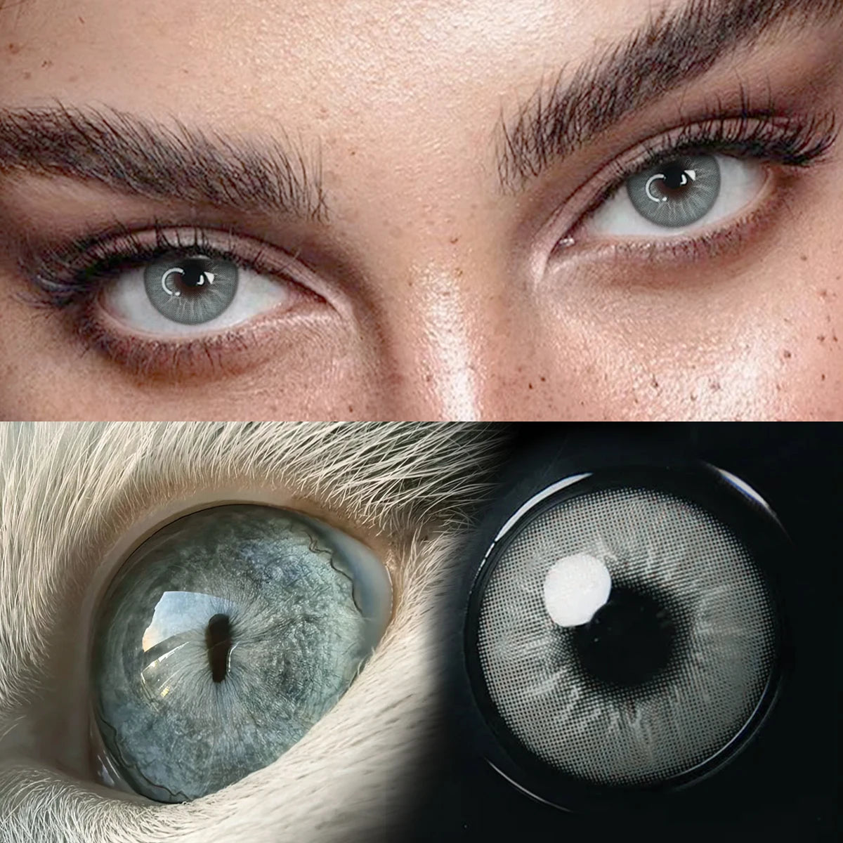 YICKYUE  Natural Green Cat Eyes Colored Contact Lenses 1Pair Beauty Blue Lens Half Yearly Grey Pupils Brown Contacts New