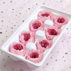 8Pcs/Box Eternal Flowers A grade Austin Roses 4-5cm DIY Valentine Day Mother  Day Gift Wedding Flowers Decoration Home Decor