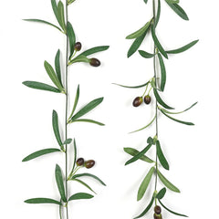 2Pcs/4Pcs Artificial Olive Leaf Vine Strips, Green Plant Garland with Fruits, Suitable for Christmas Decoration, Wedding Party, Family Garden, Artificial Hanging Leaf Vine with Front Door Wall Decoration