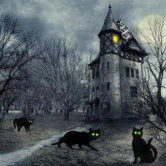 YICKYUE  3 Pcs Simulation Black Cat Decoration Sign Halloween Theme Card Outdoor Garden Yard  Decor Props Miniaturas
