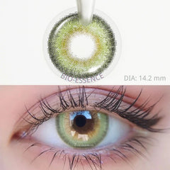 YICKYUE    1 Pair Color Contact Lenses for Eyes Natural Brown Lenses Beauty Fashion Red lense Blue Lenses Green Eye Contact
