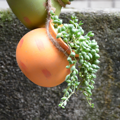 YICKYUE  -  4PCS Outdoor Home Garden Hanging Flowerpot Ceramic Vertical Flowerpot Plant Succulent Flowerpot Vase Wall Railing Decoration